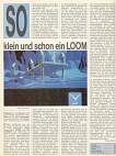 'Loom Testbericht' 'Loom Testbericht'