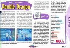 'Double Dragon Testbericht'